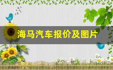 海马汽车报价及图片 2017(海马汽车报价及图片大全价格)_https://www.qldgs.com_国际期货_第1张